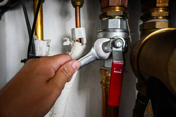 Best Clogged Drain Plumber  in Albertson, NY